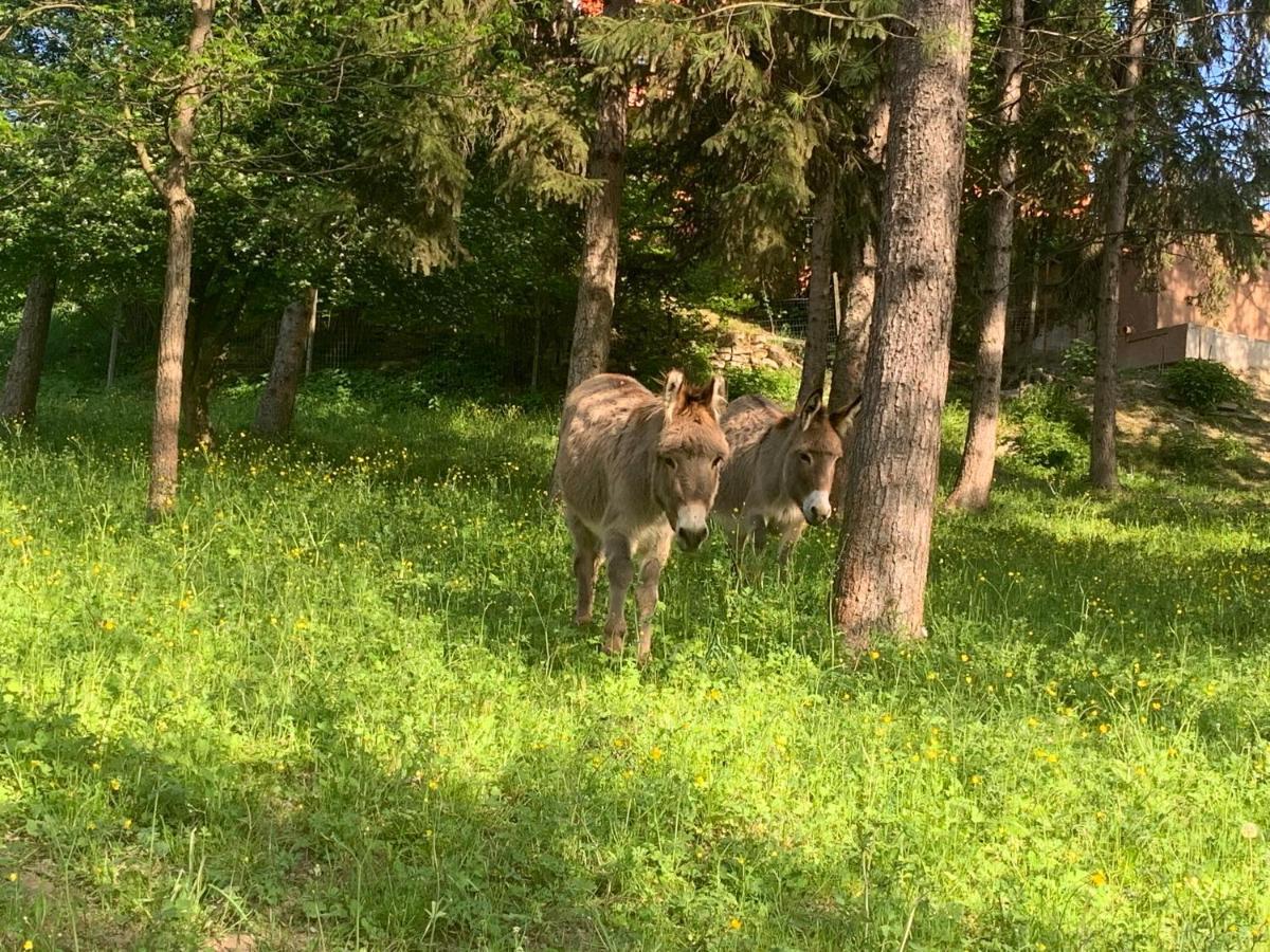 Agriturismo La Mussia Castelnuovo  Dış mekan fotoğraf
