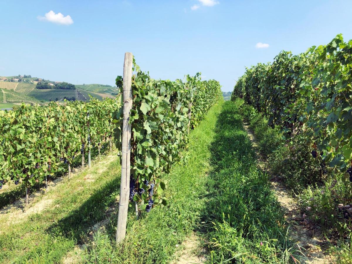 Agriturismo La Mussia Castelnuovo  Dış mekan fotoğraf