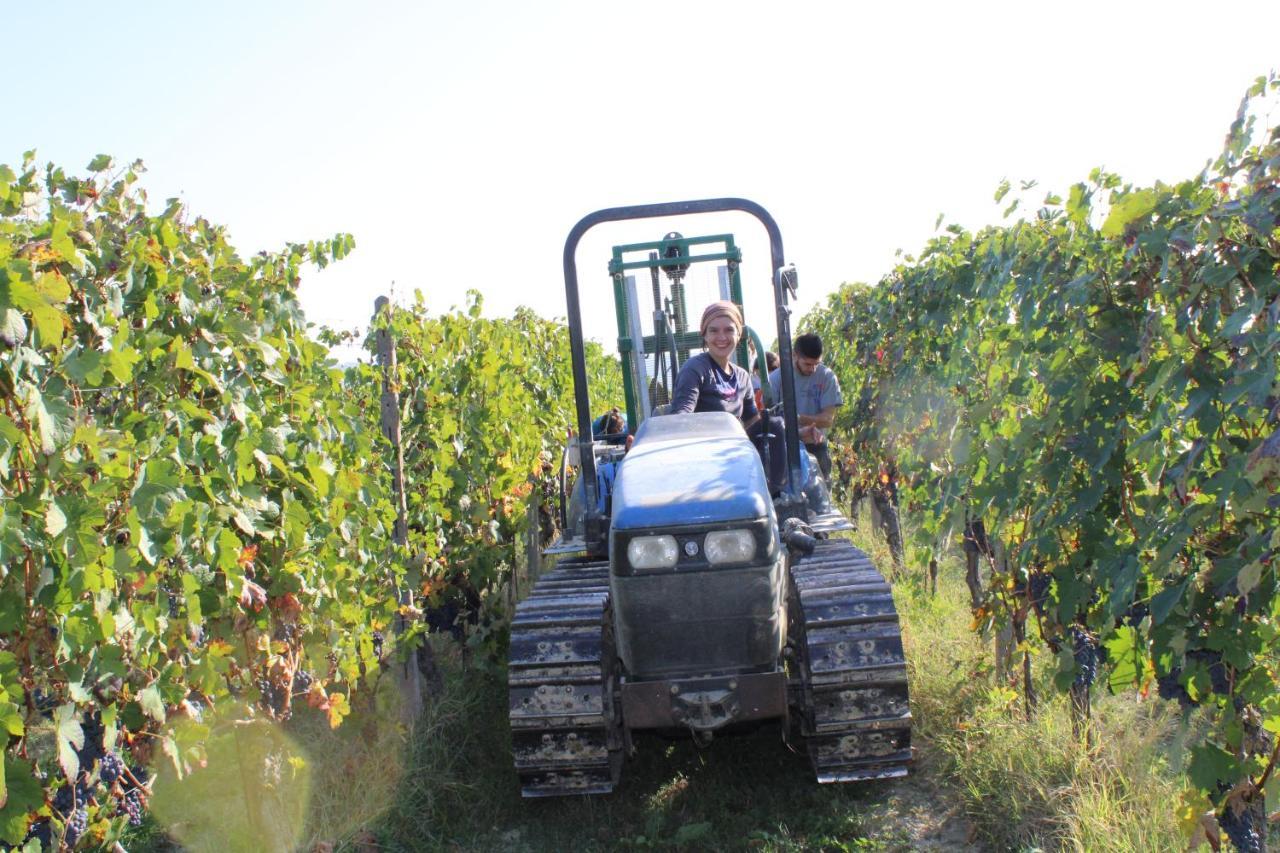 Agriturismo La Mussia Castelnuovo  Dış mekan fotoğraf